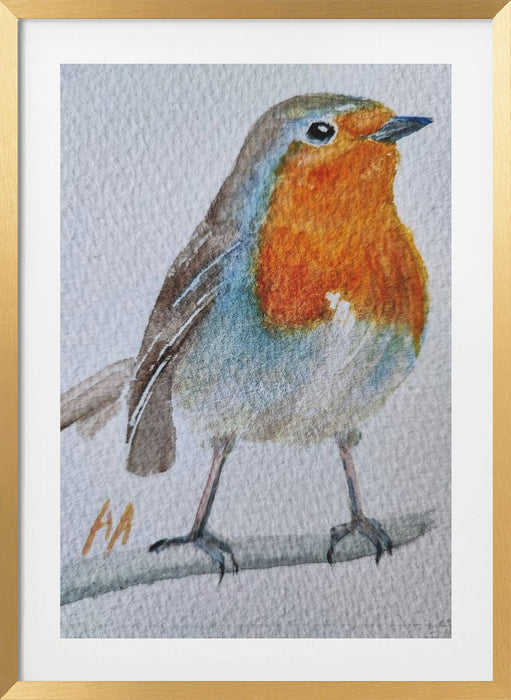 Robin Framed Art Wall Decor