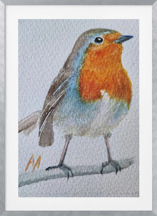 Robin Framed Art Wall Decor