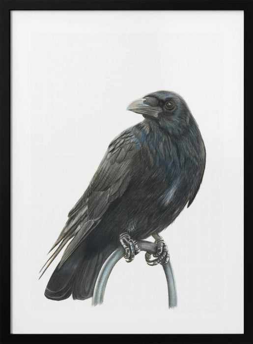 Nevermore Framed Art Wall Decor