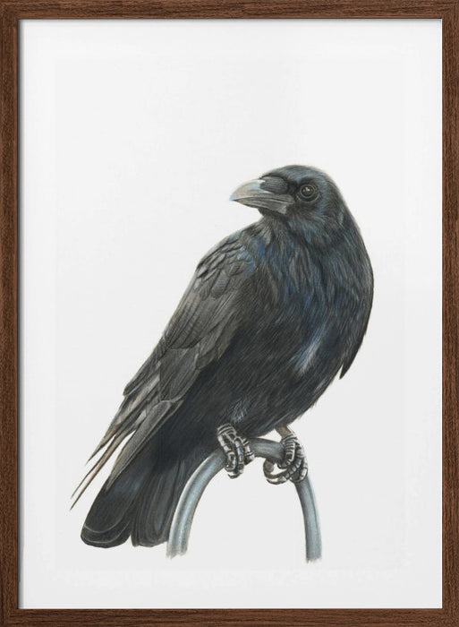 Nevermore Framed Art Wall Decor