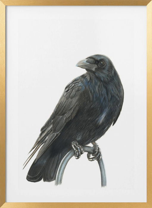 Nevermore Framed Art Wall Decor