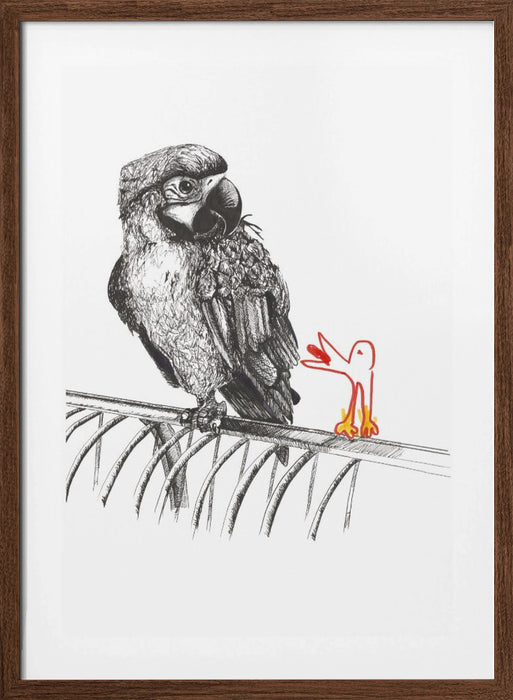 Polly wants a cracker Framed Art Wall Decor