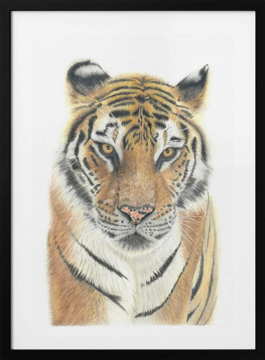 Tiger Framed Art Wall Decor