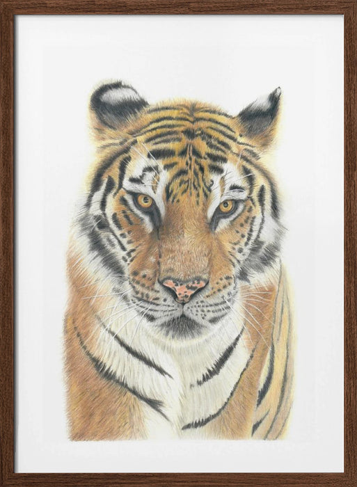 Tiger Framed Art Wall Decor