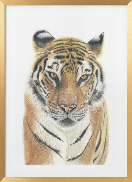 Tiger Framed Art Wall Decor