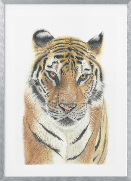 Tiger Framed Art Wall Decor