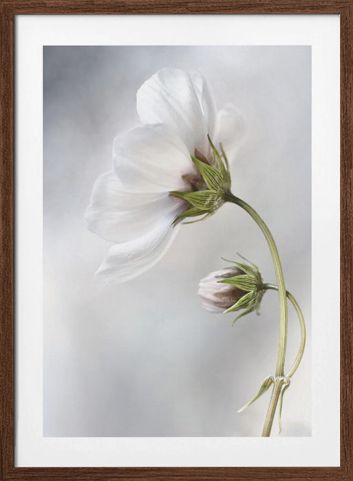 Heavenly Cosmos Framed Art Wall Decor