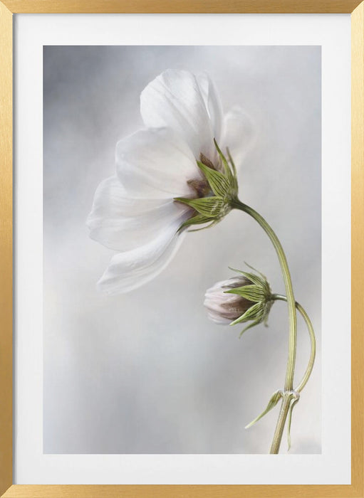 Heavenly Cosmos Framed Art Wall Decor