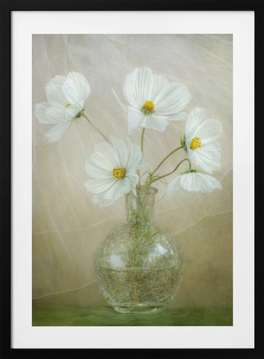 Cosmos breeze Framed Art Wall Decor