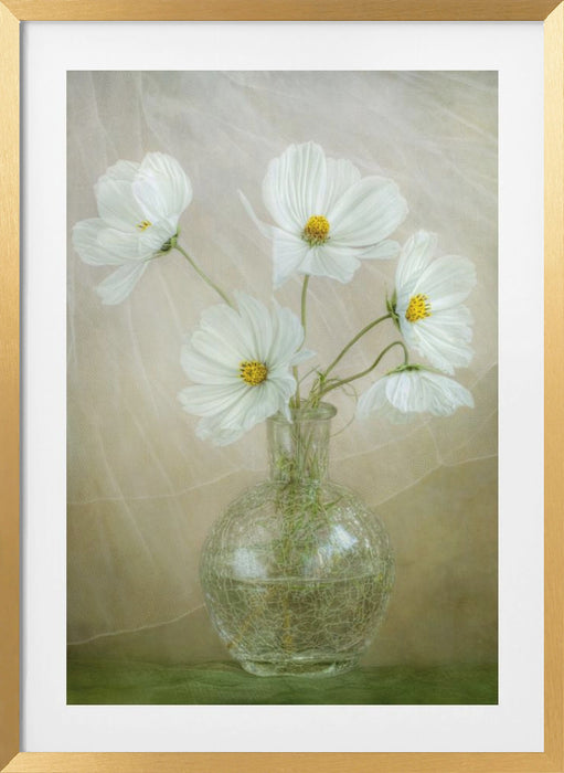 Cosmos breeze Framed Art Wall Decor