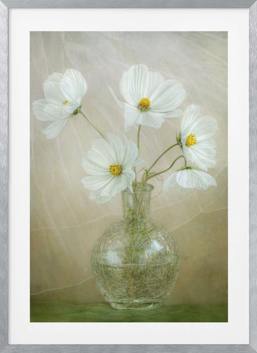 Cosmos breeze Framed Art Wall Decor