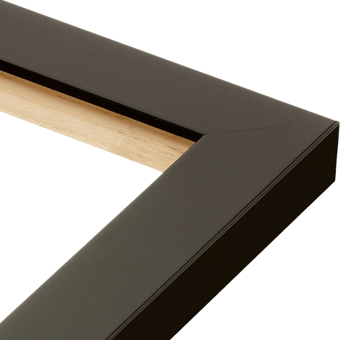 Corner of black picture frame with wooden edge for Olympic poster, ideal for USA Medalist