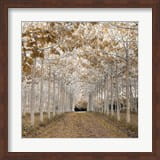 Fall Color Trends by Framedart.com