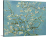 Almond Blossom by Vincent Van Gogh Framed art - Modern Memory Design Picture frames - New Jersey Frame shop custom framing