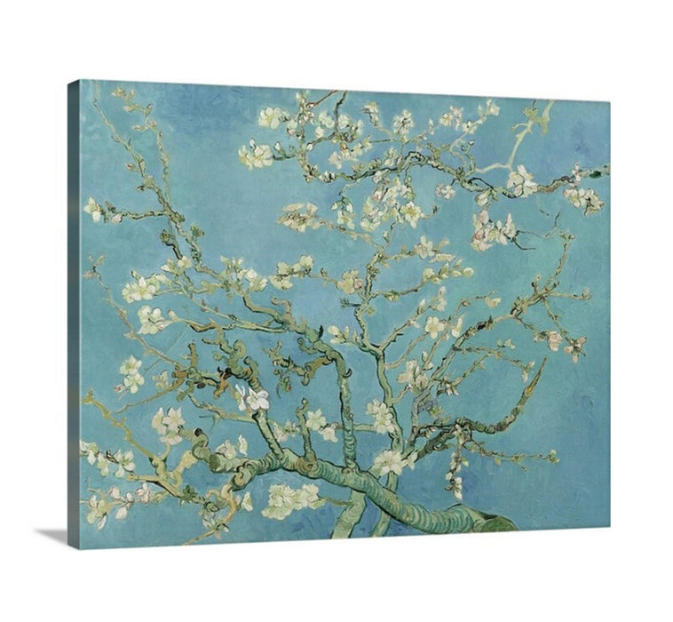 Almond Blossom by Vincent Van Gogh Framed art - Modern Memory Design Picture frames - New Jersey Frame shop custom framing