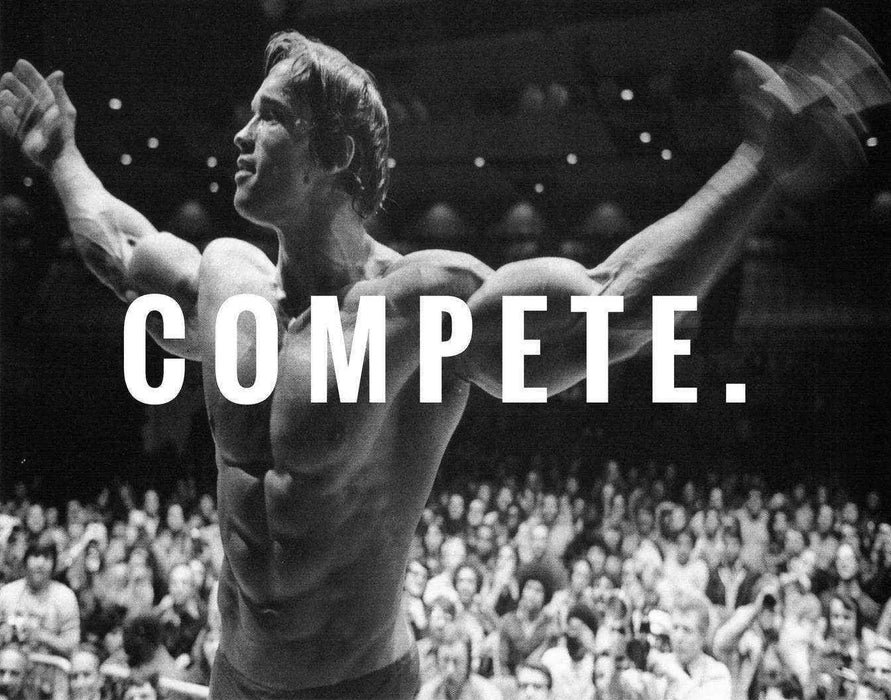 Arnold Schwarzenegger CONQUER Motivation Quote Poster Picture Frame Store New Jersey