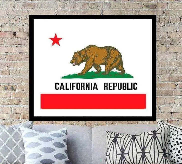 California Flag Art Print Framed Picture Frame Store New Jersey