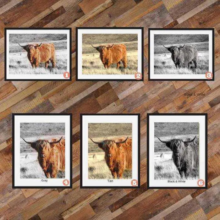 Highland Cow art print Buffalo Animal Print Decor Picture Frame Store New Jersey