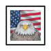 Bald eagle USA framed art home wall decor 19x19 - Modern Memory Design Picture frames - New Jersey Frame shop custom framing