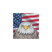 Bald eagle USA framed art home wall decor 19x19 - Modern Memory Design Picture frames - New Jersey Frame shop custom framing