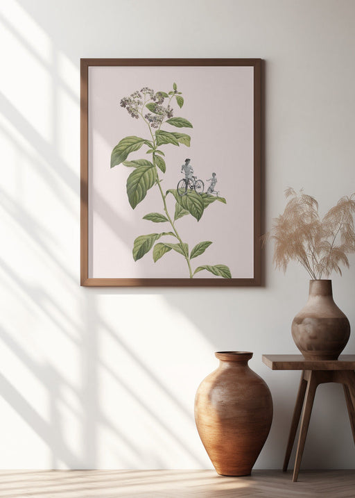 Framed botanical cycling art of a flowering plant with green leaves and white blossoms