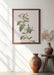 Framed botanical cycling art of a flowering plant with green leaves and white blossoms