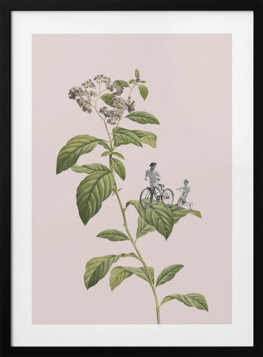 Botanical cycling framed art displaying a flowering plant with green leaves and white blossoms