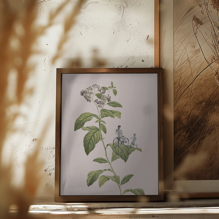 Framed botanical cycling art featuring a flowering plant with green leaves and white blossoms