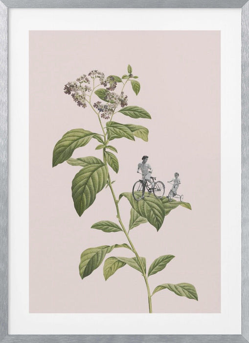 Botanical cycling framed art depicting a flowering plant with green leaves and white blossoms