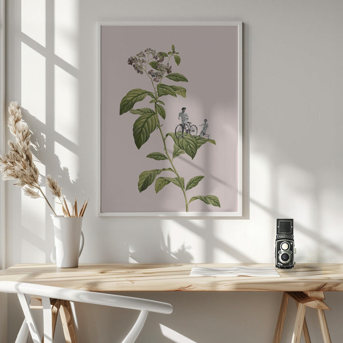 Framed botanical cycling art featuring a flowering plant with green leaves and white blossoms