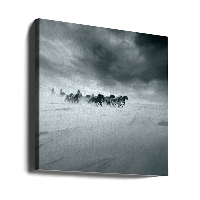 Snowy field Square Canvas Art Print