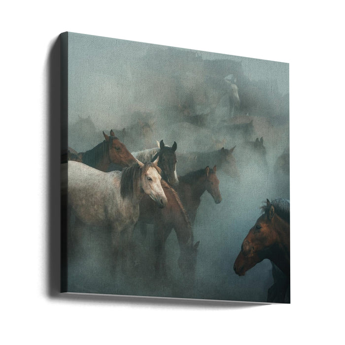 lost horses Square Canvas Art Print