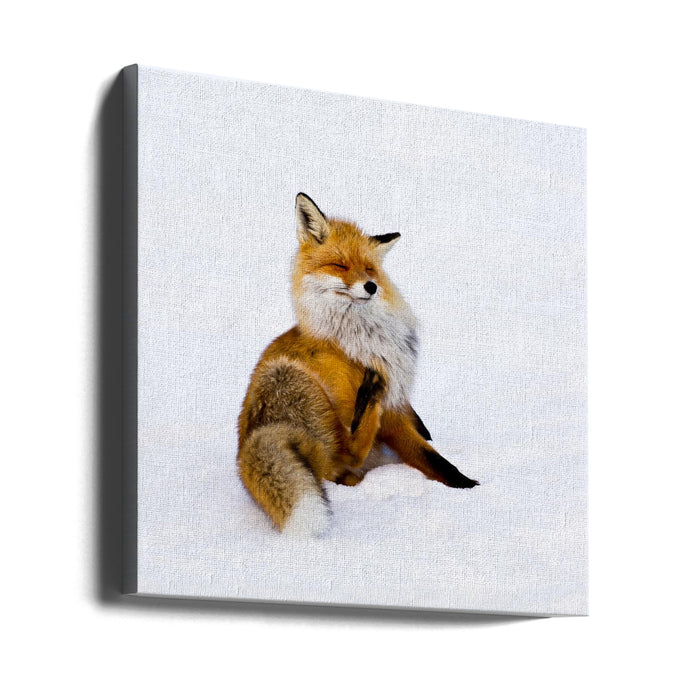 Winterfox Square Canvas Art Print