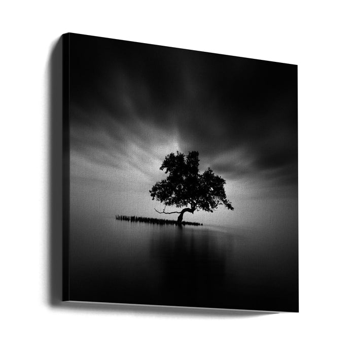 Back Light Square Canvas Art Print