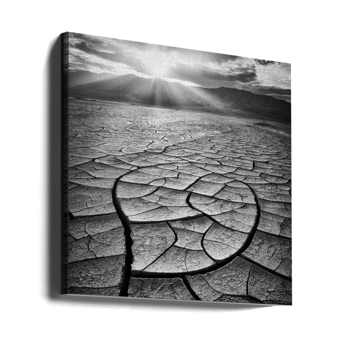 Arid Square Canvas Art Print