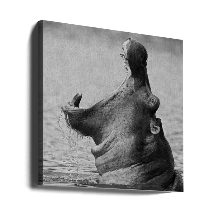 The Mouth Square Canvas Art Print