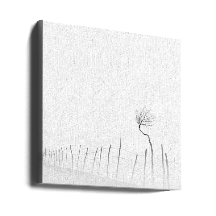 Silence Square Canvas Art Print