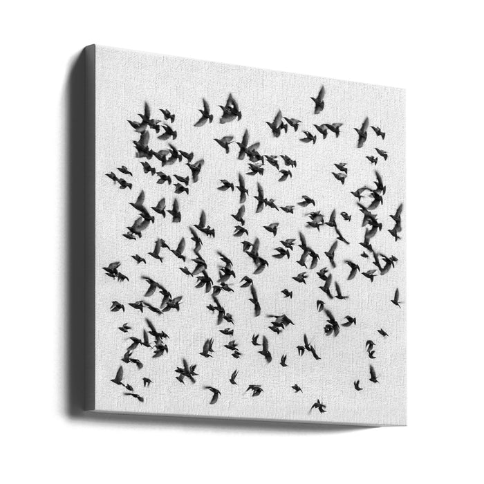 Birds Square Canvas Art Print