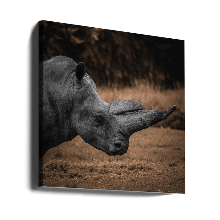 Rhinoceros Square Canvas Art Print