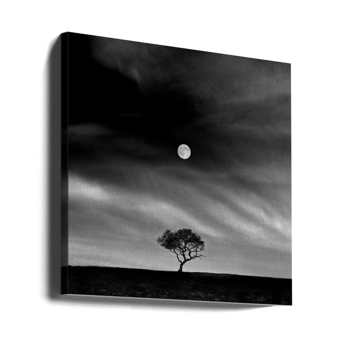 Stories under the Moon (No.5) Square Canvas Art Print