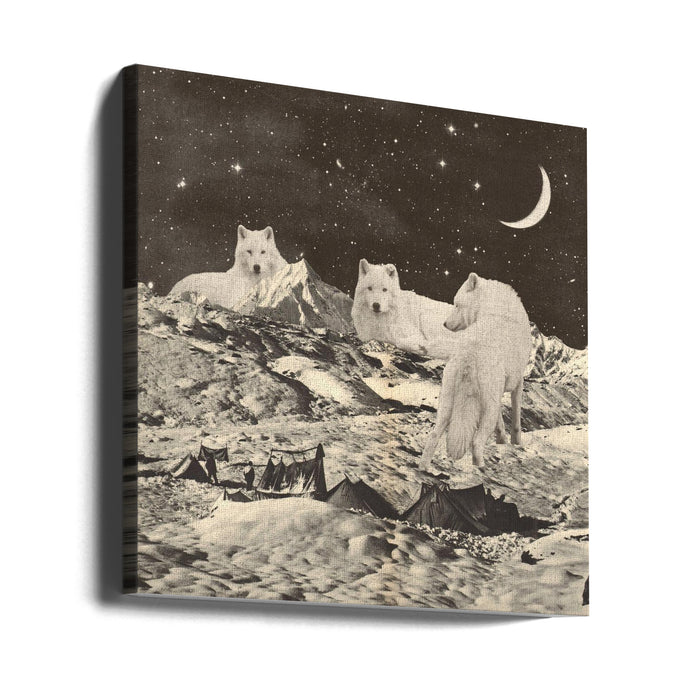 Giant White Wolves Square Canvas Art