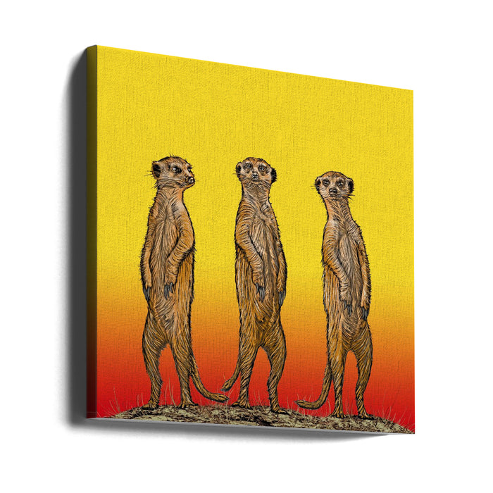 Meerkat Gang at Sunset Square Canvas Art