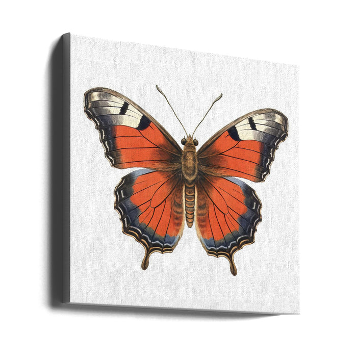 Butterfly 49 Square Canvas Art Print