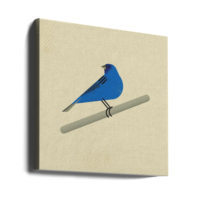 Indigo Bunting Square Canvas Art Print