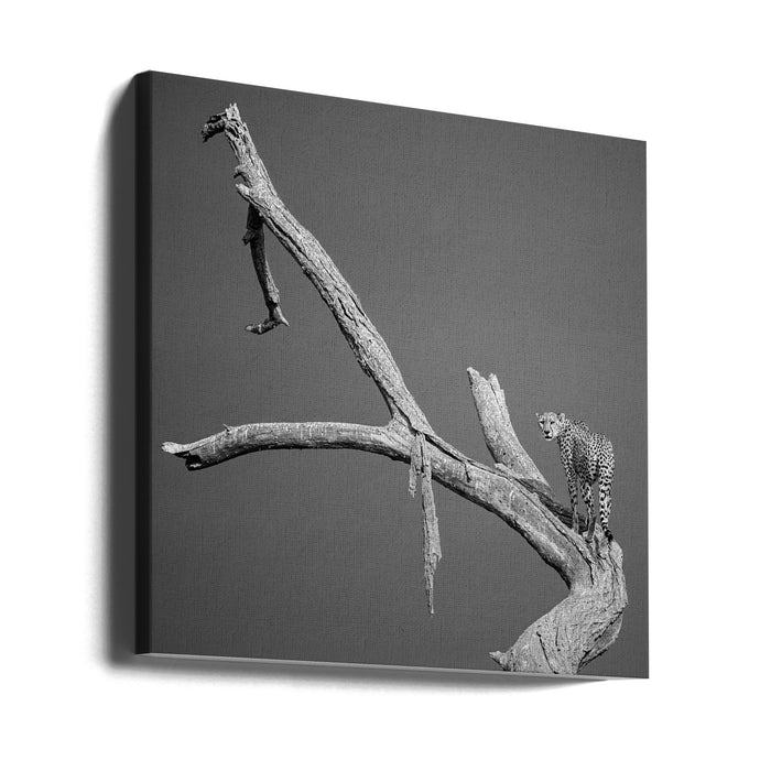 The Climb Square Canvas Art Print