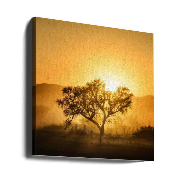 Golden Sunrise Square Canvas Art Print