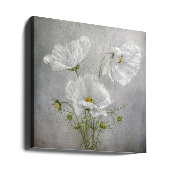 Cosmos Charm Square Canvas Art Print