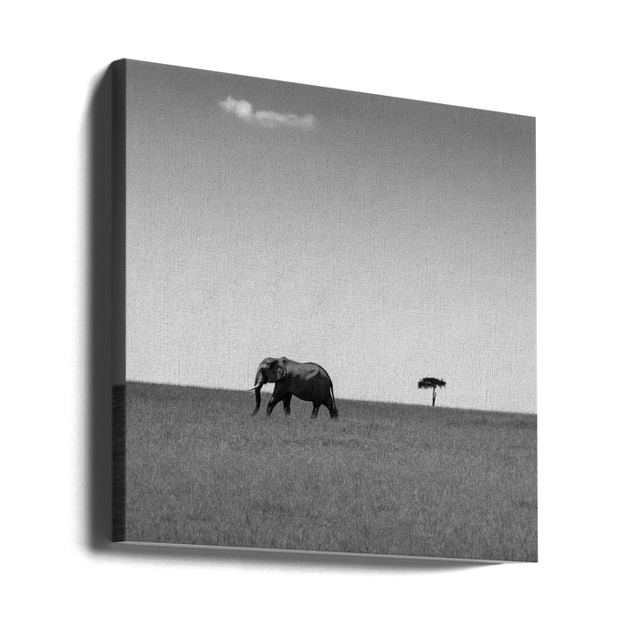 Elephant and the friendly cloud... Square Canvas Art Print