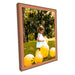 Copper Picture Frame Modern Custom Framing - Modern Memory Design Picture frames - New Jersey Frame shop custom framing