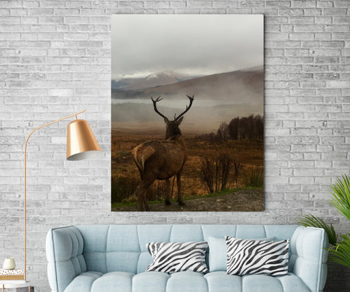 Deer Animal Canvas Prints Home Wall Decor